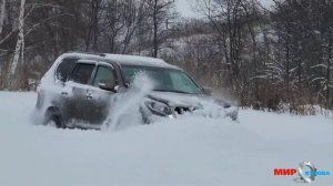 Toyota  Prado 150 прёт по глубокому снегу поле Тойота Ленд Крузер 80 тест драйв бездорожье МирКузов