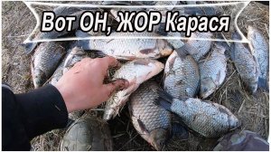 СКОЛЬКОЖ ТУТ Крупного Карася! Рыбалка в Апреле на поплавок весной, ловля