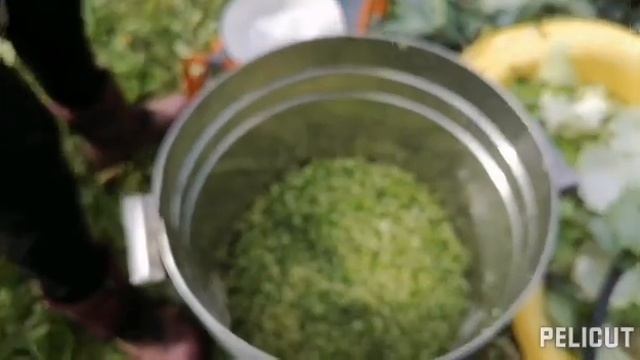 крошево смотреть онлайн