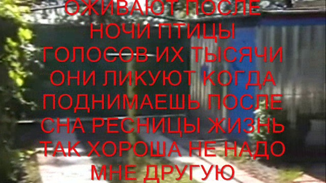 УТРО В ПРИБЫТКОВО