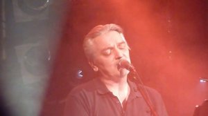 peter heppner - the sparrows and the nightingales 01.09.2022 hamburg