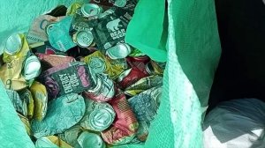 Сколько можно заработать собирая пивные банки?