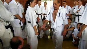 Стив Арнейл на летней Школе ФКР 2009