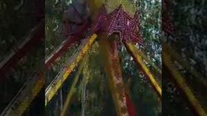 Владус боится банана