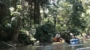 № 1204 USA Florida Kayaking по реке в джунглях Флориды