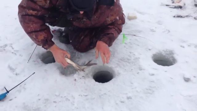 Стрелецкий Ручей 06/02/2019- 4 смотреть онлайн