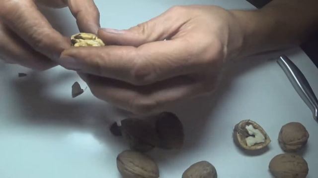 обзор грецкого ореха "Песчанский".