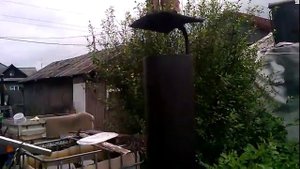 Копчение курицы с быстрым маринадом!