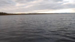 Верхнетуломское водохранилище 2021 сентябрь