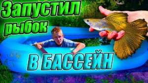 Запустил гуппи и сомиков в бассейн! Акватеплица "полна растений!"