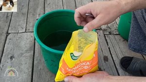 Корневая подкормка огурцов монокалий фосфатом при низких температурах