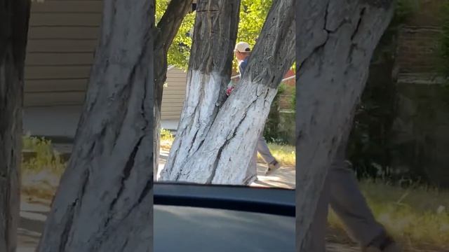 Как в Талдыкоргане грабят друг друга алкаши. смотреть онлайн