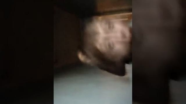 Сатрна лилипутов смотреть онлайн