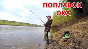ПОПЛАВОК на ОКЕ это много поклёвок! Рыбалка в середине мая.