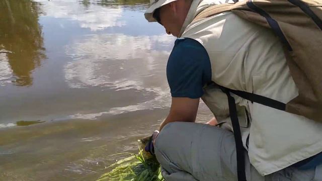 Поймал хорошего голавля на Mat*s lures (Олег Матасов) Imago SSR. Отпускаем рыбу...