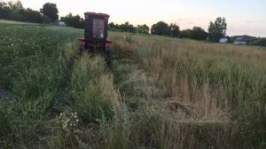 Самодельная косилка на Самодельный трактор и первый неудачный пакос травы!