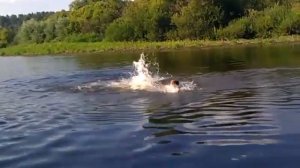 По реке плывет бревно..