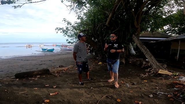 LOVINA BEACH BALI ❗ Balapan jetski bareng lumba-lumba