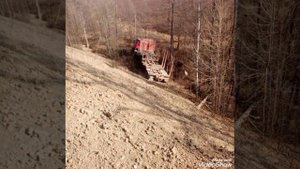 Лесовозная дорога.