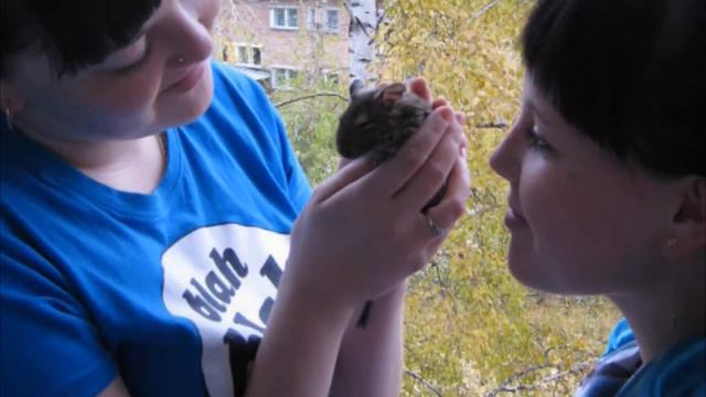 Валентине Рахмановой-посвящается! смотреть онлайн