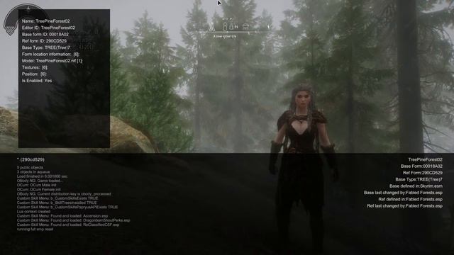 Skyrim BorRim сборка Бориса с интересными новшествами)