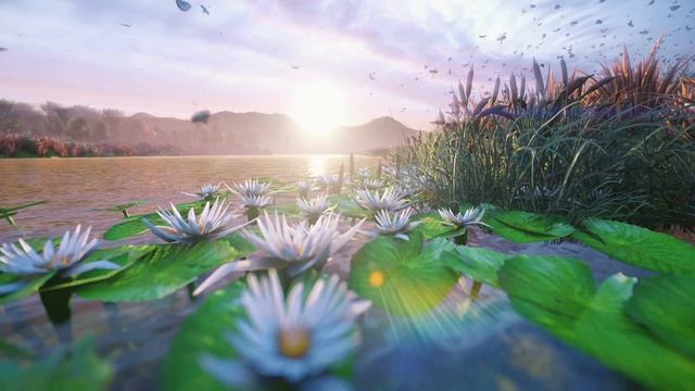 A two-hour relaxing screensaver with a view of a beautiful pond in the countryside. смотреть онлайн