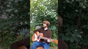 С. Трофимов - Голуби (cover)