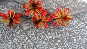 Цветы из пластиковых бутылок . Идеи для дачи .