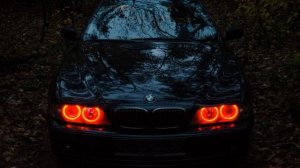 Каспийский груз 2017   Тело в тело