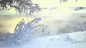 Иван Тургенев - В дороге (Утро туманное...)