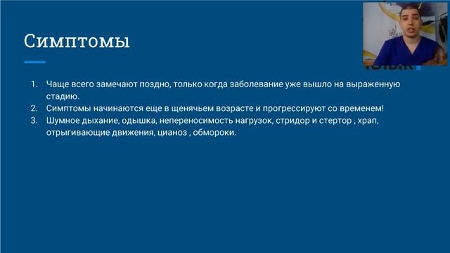 Вебинар Проблемы брахицефалов смотреть онлайн