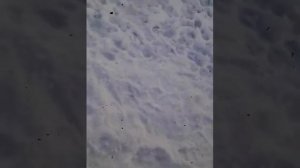 Кастинговая сеть испанка 4 метра