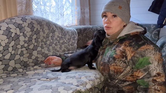 Переезд Шкоды и таксёнок Никита смотреть онлайн