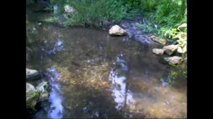 Святой источник преподобного Серафима Саровского