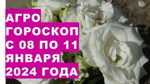 Агрогороскоп с 08 по 11 января 2024 года Agrohoroscope from January 8 to January 11, 2024