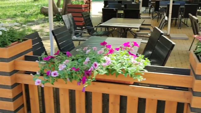 Поездка в Зеленоградск за цветочной рассадой. смотреть онлайн