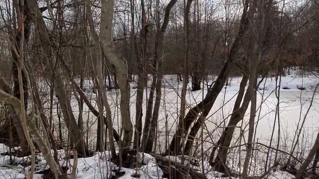 Медный Всадник. Гром-камень. По следам истории. смотреть онлайн