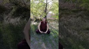 Си суй цзин