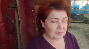 Купили поросят неопознанной породы. Цены на поросят