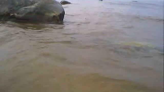 мутная вода смотреть онлайн