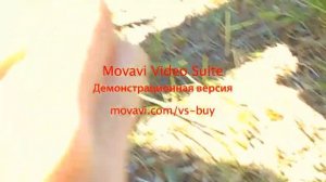 Опасная гадюка Никольского!!!!!