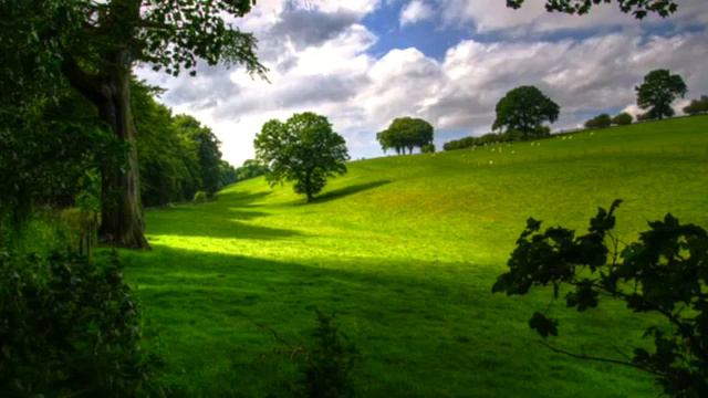 4.ТЫ УКАЖЕШЬ МНЕ ПУТЬ? Беседы с Богом Нил Доналд Уолш смотреть онлайн