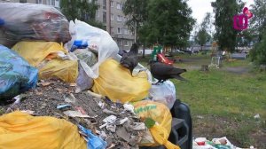Как не платить за вывоз мусора