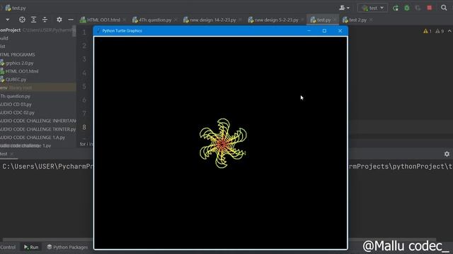 Wonderfull graphic design with python Turtle/python coding/Mallu codec_/Graphic with python