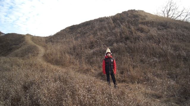 История, Суворов. В чем солдаты Альпы переходили? смотреть онлайн