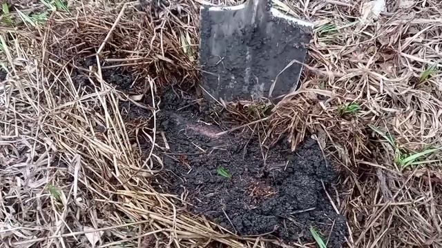 #6 Поиск монет и чермета