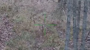 Видео с цифрового прицела ATN X-SIGHT
