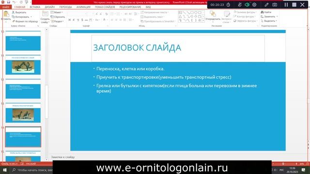 Что нужно знать перед приемом у ветврача орнитолога. И не только! Бесплатный вебинар для владельцев