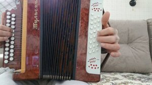 Разбор на гармони:"Скорый поезд"(Петлюра)