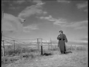 Бои на реке Халхин-Гол